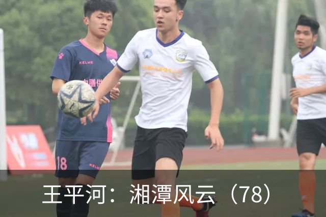 王平河：湘潭风云（7/8）